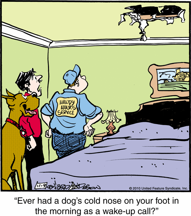 marmaduke